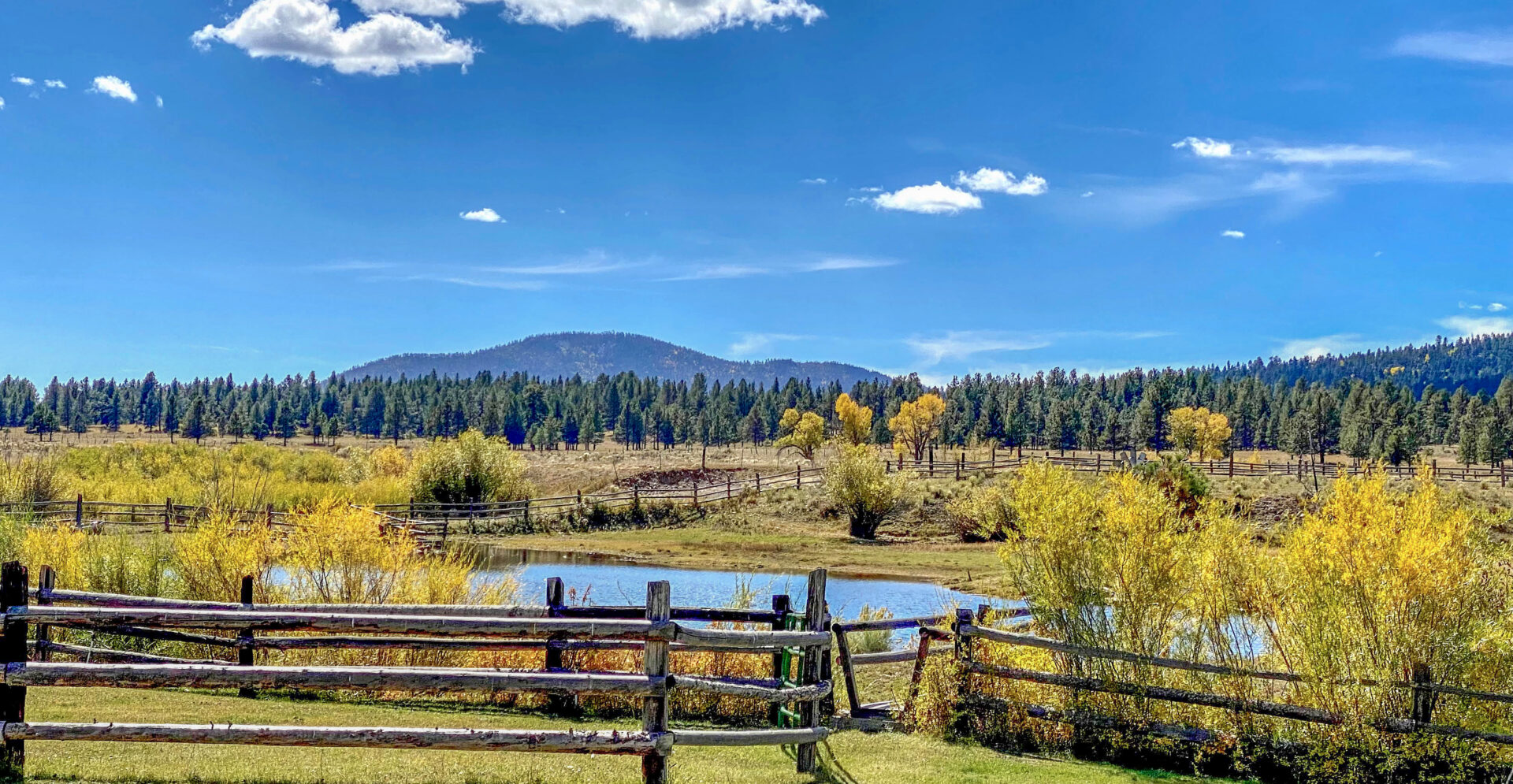 Ranch to Table