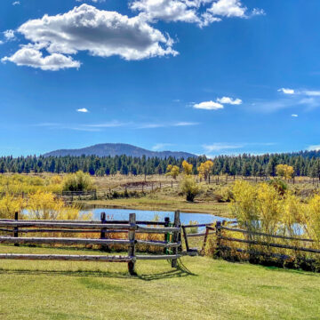 Ranch to Table